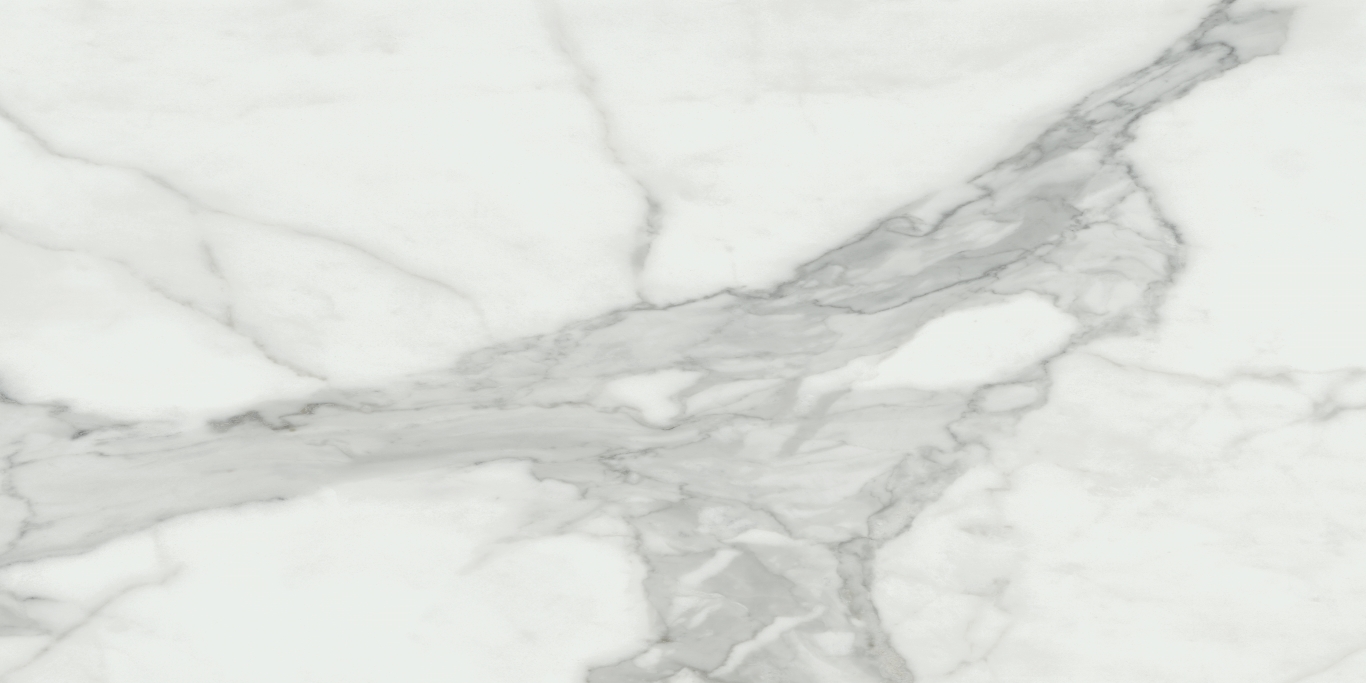 Invictus Natural Rectificado 60x120 Baldocer
