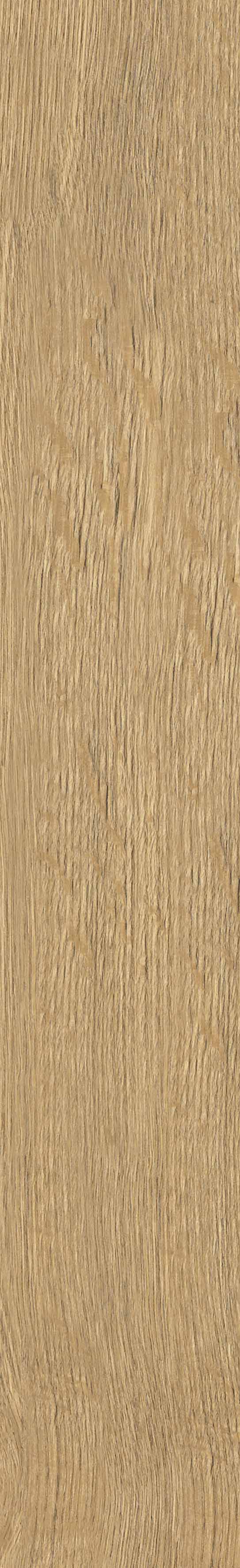 SGR29 Aurevia Gold 9.2x60 Stargres фото 3