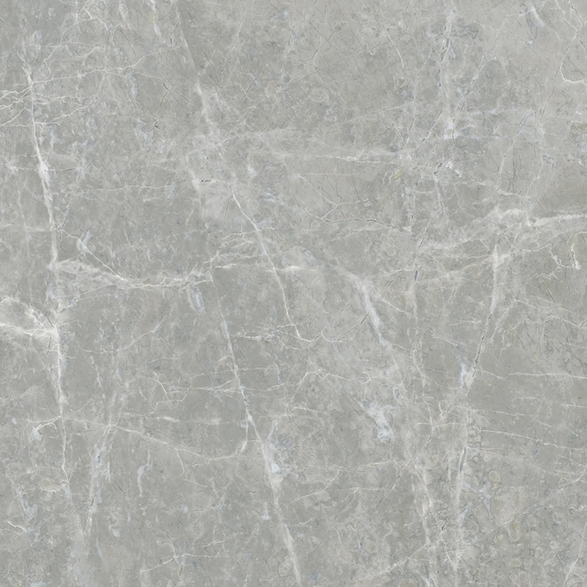 610010005763 Canova Grey Ret 60x60 ColiseumGres