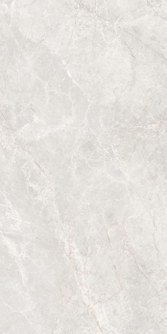 GT1206019606MDGR Anatolia Светло-серый матовый 60x120 Global Tile