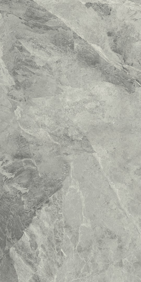 610010001196 Charme Extra Silver Nat Ret 60x120 Italon