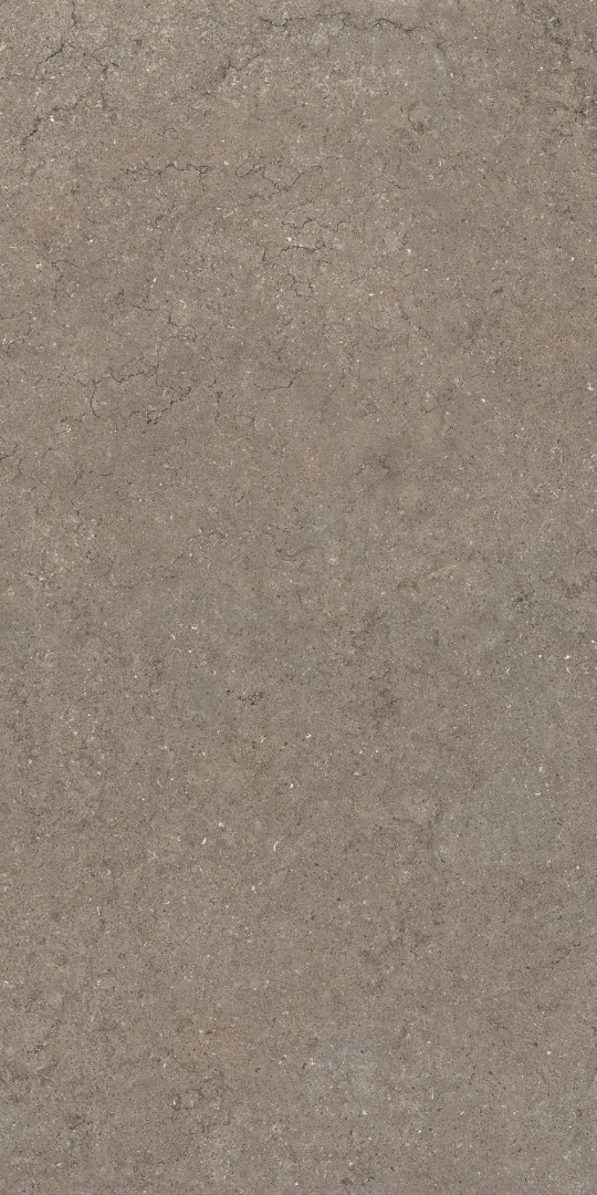 610010002729 Discover Desert 60x120 Italon