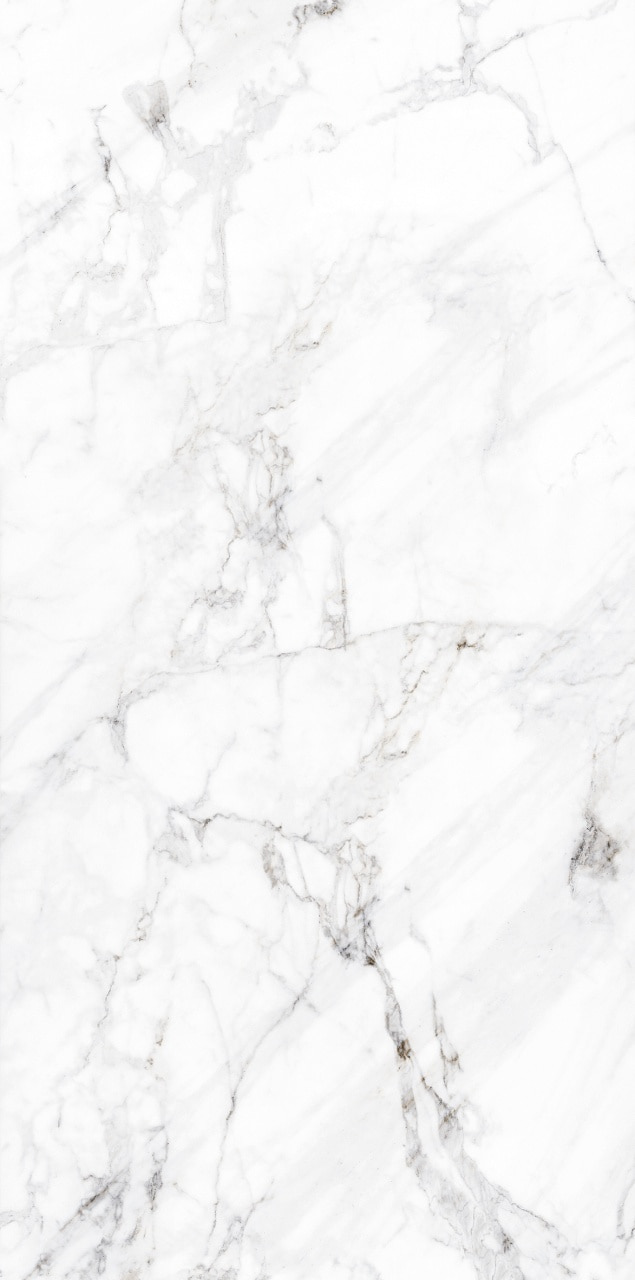NR0302 Calacatta M серый светлый 1200х600х9,5 ProGRES Ceramica