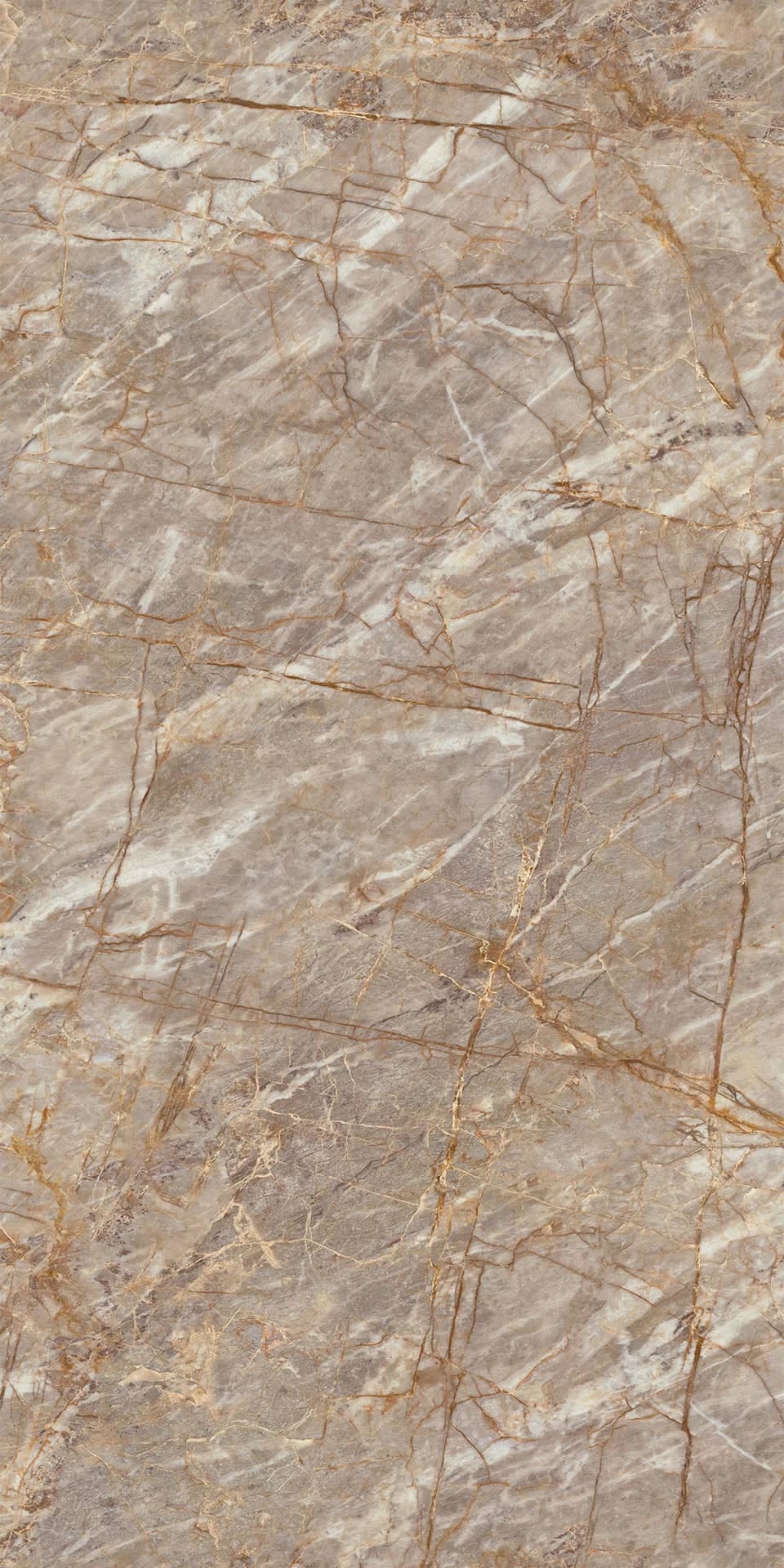 HEAZ Natural Roots Polished Endless 6mm 160x320 Atlas Concorde