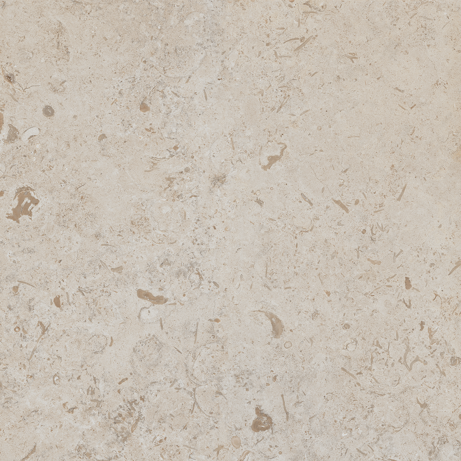 DD641220R Про Лаймстоун бежевый натуральный обрезной 60х60 Kerama Marazzi