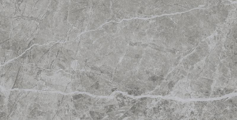 Stone Grey 60x120 Pamesa