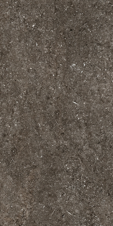 768625 Sensi Brown Fossil Nat Ret 6mm 60x120 Casa Dolce Casa