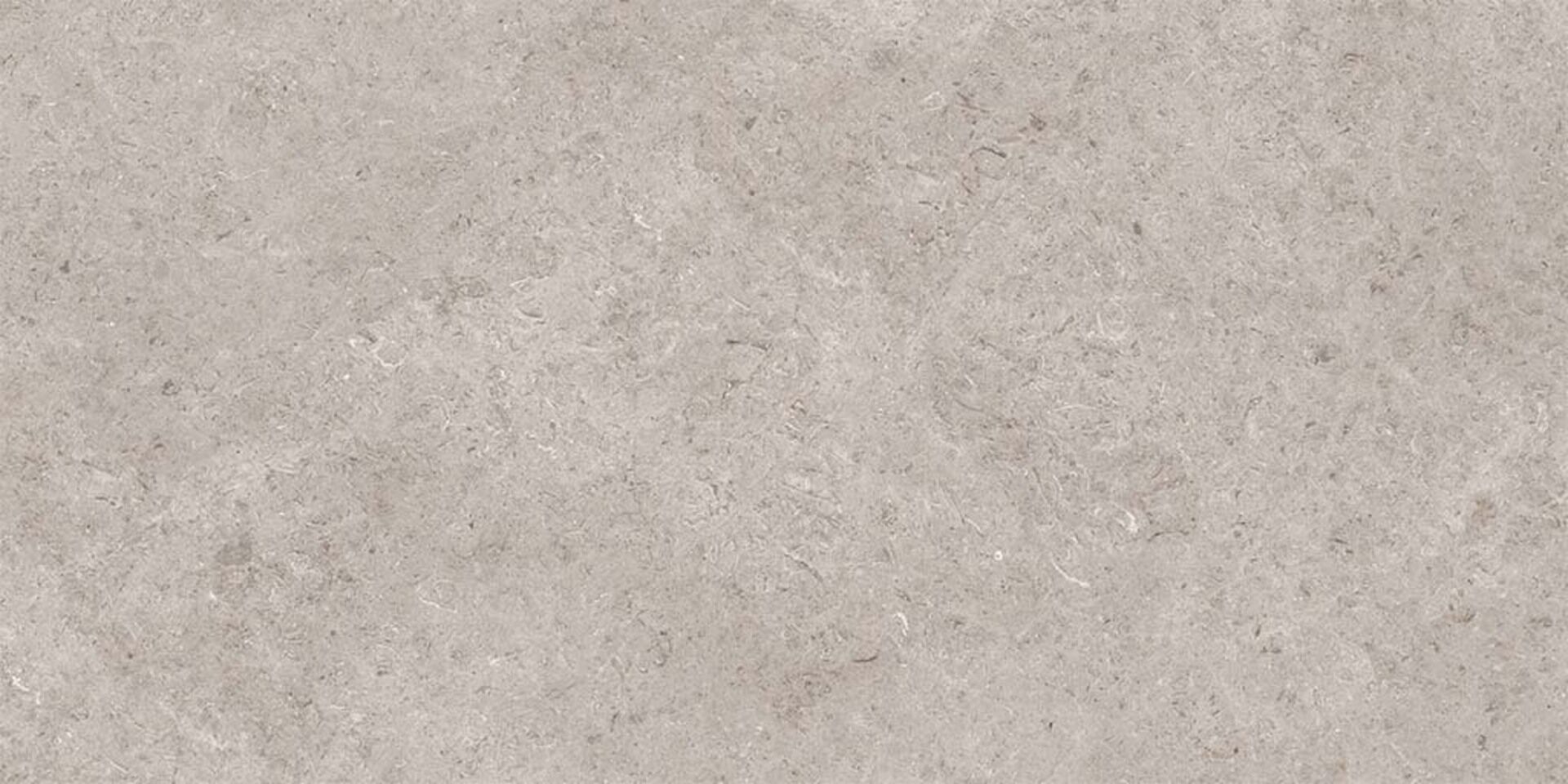 Seashell Natural R10 Carving 60x120 Gravita