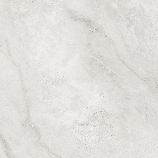 AB1206G Canoli Gloss 600x600 Absolut Gres