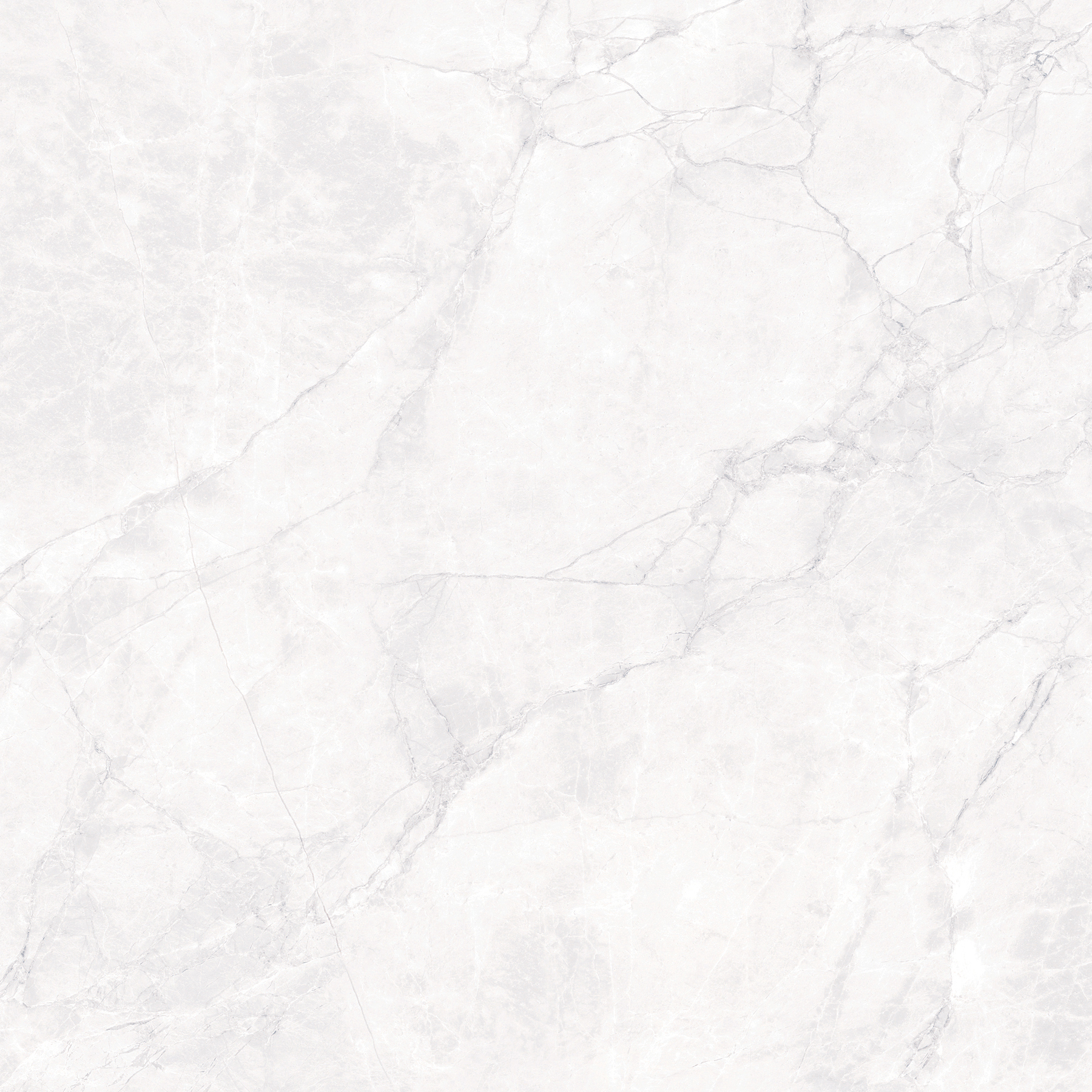 CR6008-A Arctic White Carving 60x60 Arcadia Ceramica фото 2