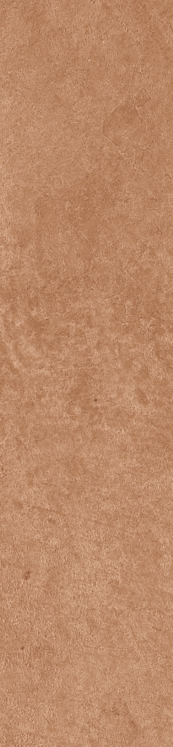 Scs Spectra Tango 5,8х25 Simpolo Ceramics