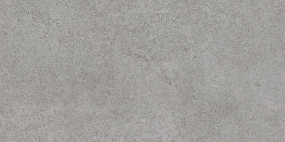 AVS-108 Antica Grey Lappato 600x1200 AVS фото 8