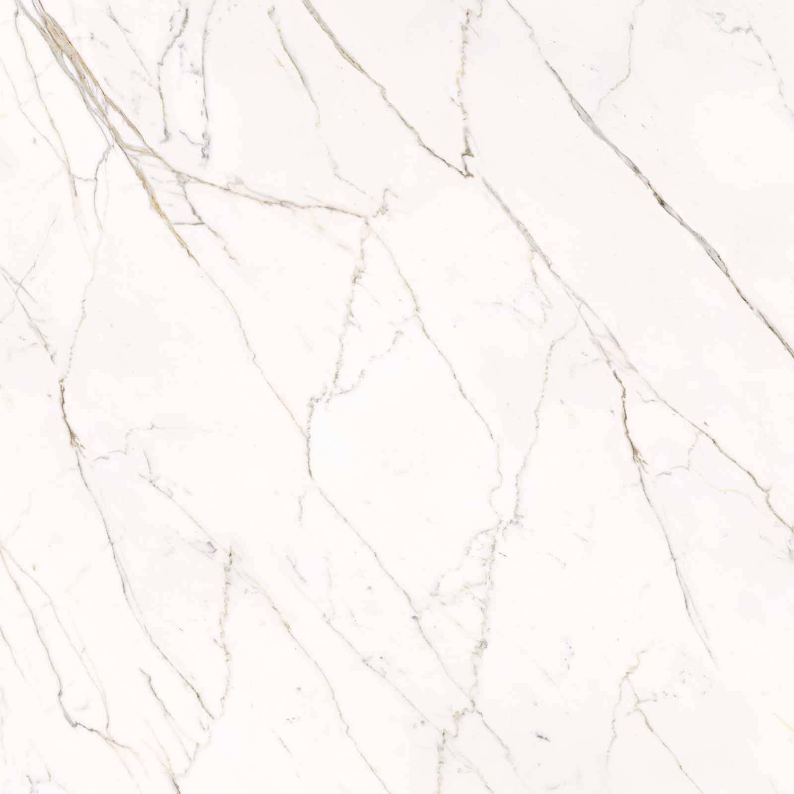 59A2 Calacatta Statuarietto Lappato RT 120x120 Keope