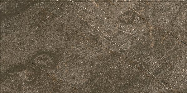 Baron Brown 60x120 Ocean-Ceramic