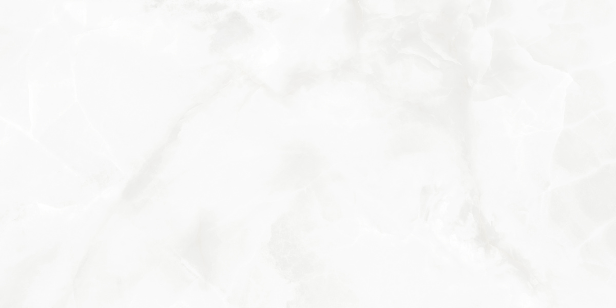 LP6012G0541R Bernini Bianco белый глянцевые чернила 59,5х119,1 Laparet фото 5