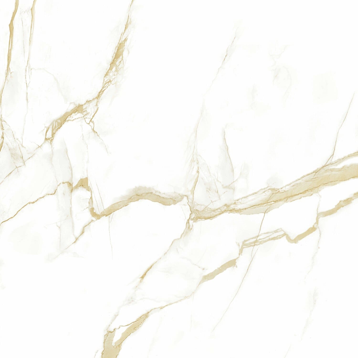 16604 Helion Polished 8mm 60x60 Pardis Ceramic Pazh