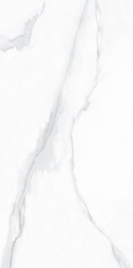 2483 Ramila polish 60x120 Sina Tile