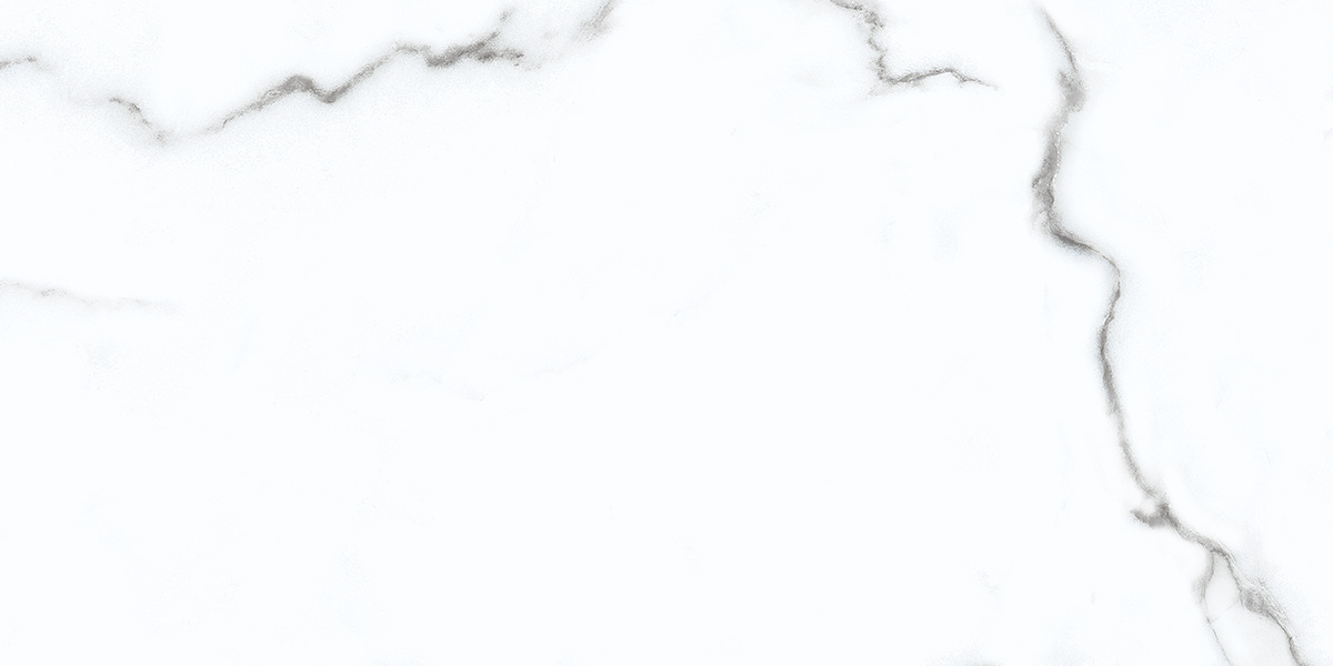 Calacatta Opaco 31.5x63 Azori