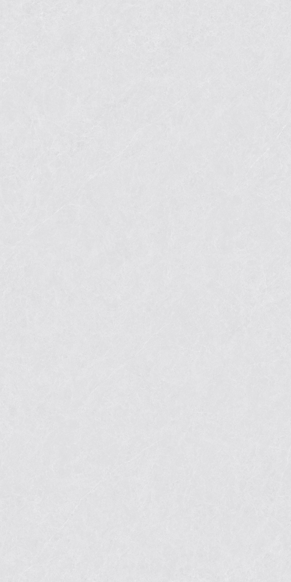 ZA-L12502 Пепел Матовый 1200x600x9 Vizavi фото 4