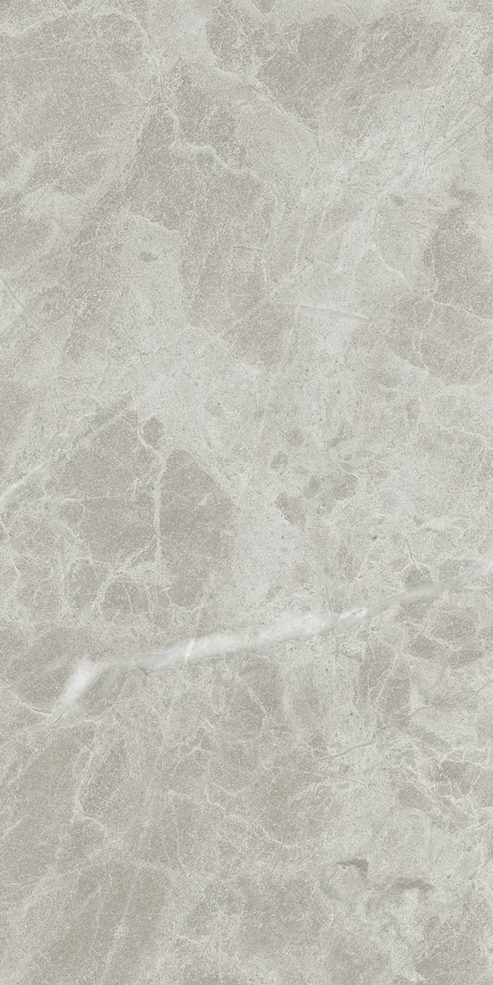 P628391 Blue De Savoie Naturale 8mm 60x120 IRIS FMG