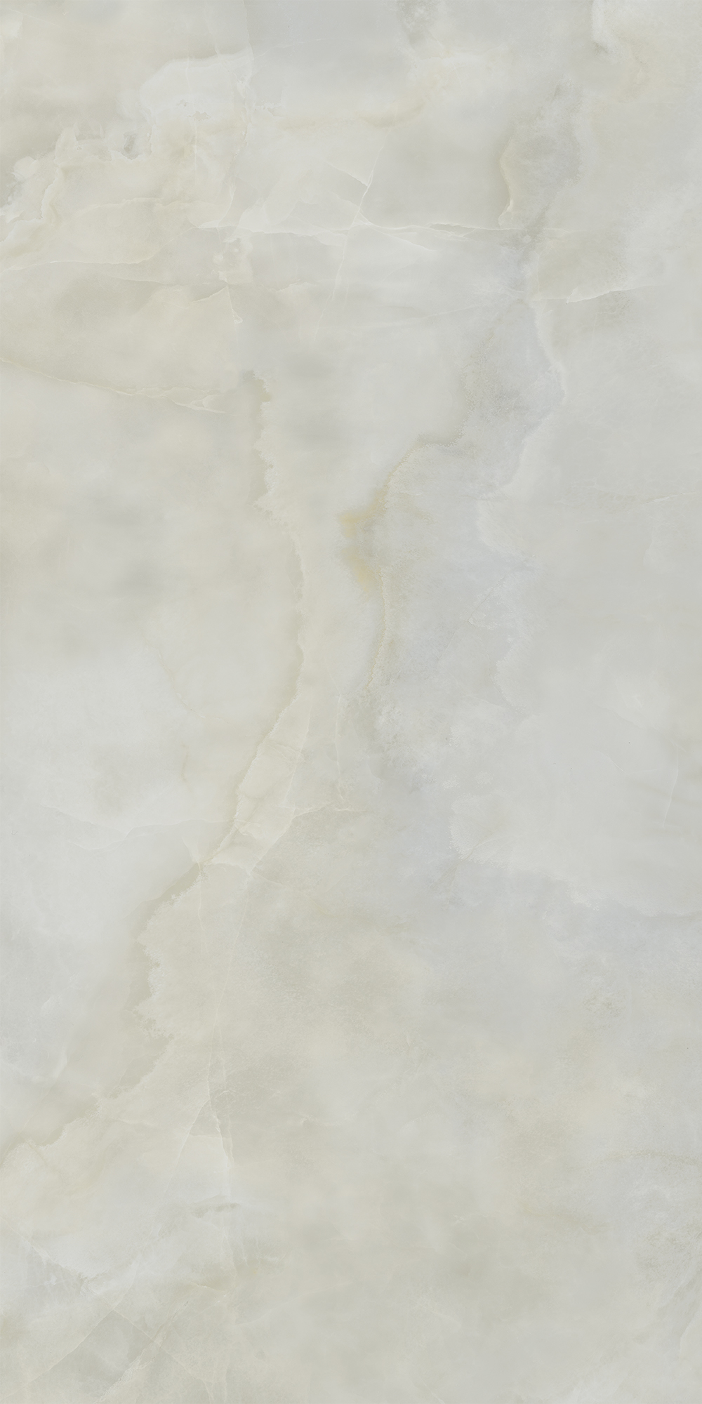 AIAX Anima Ever Royal Onyx Matt RT R10B 60x120 Caesar фото 3