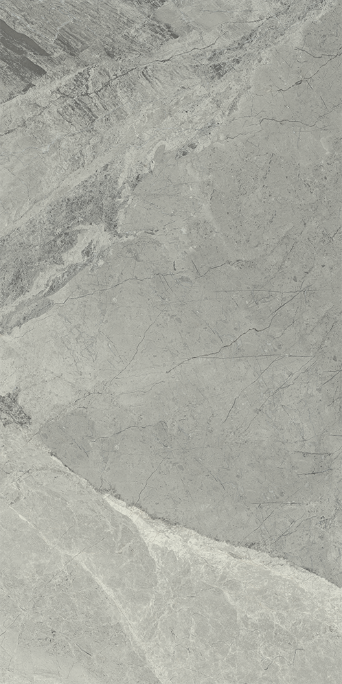 610015000358 Charme Extra Silver Nat Ret 30x60 Italon фото 6