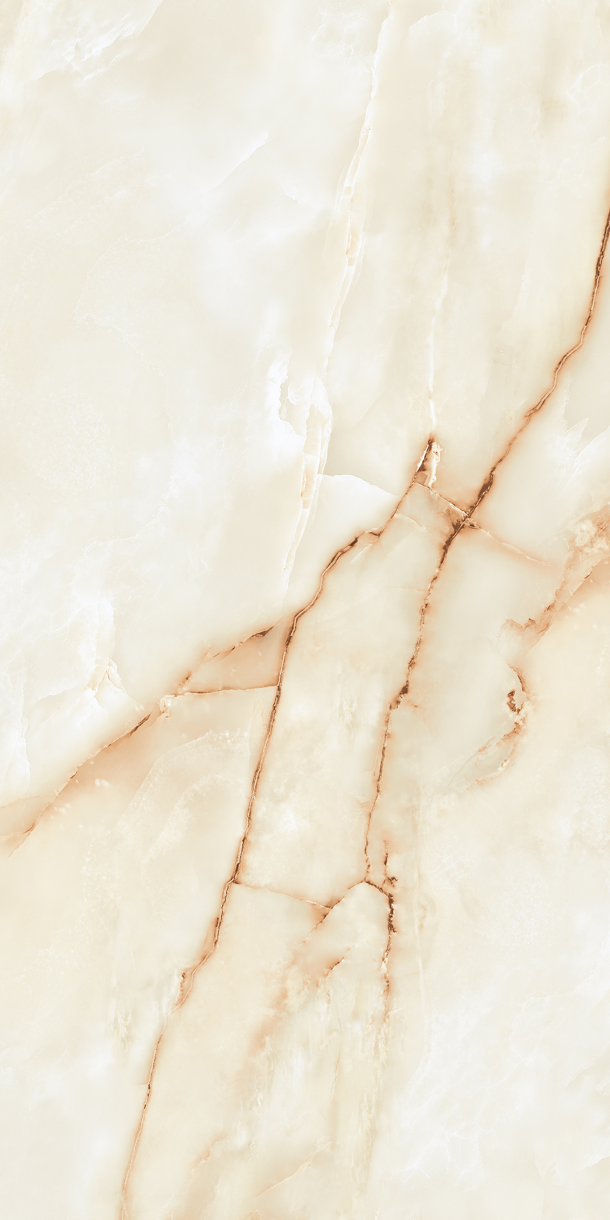 904 Persian Beige 120x60 Artcer