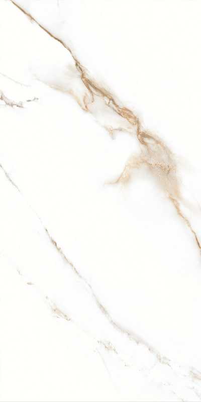 P.E. Lumiere Natural MT Rect 60x120 STN Ceramica