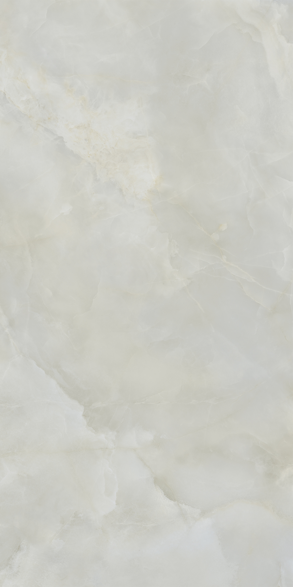 AIAX Anima Ever Royal Onyx Matt RT R10B 60x120 Caesar фото 2