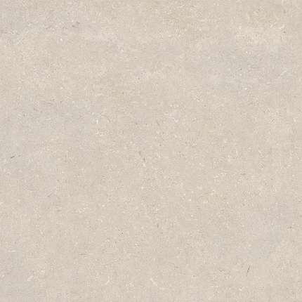 100330175 Caliza Ant. L 120х120 Porcelanosa