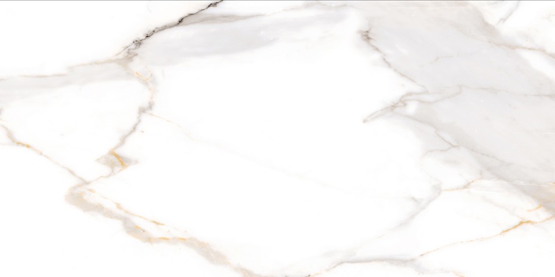 NTT9120M Calacatta Light Grey Mat 60x120 NT Ceramic фото 5