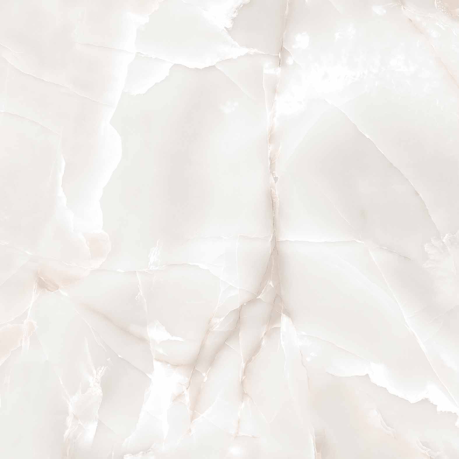 RT6005-A Primo Onyx Grey Matt Rustic 60x60 Arcadia Ceramica фото 3