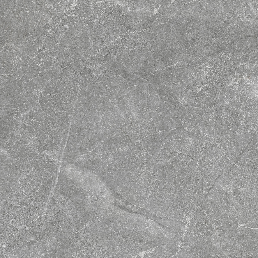 Rocky Grey PRO серый матовый R10GR 60х60 Laparet