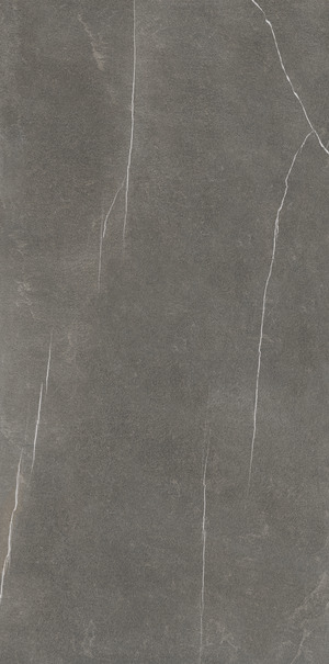 UP6SK300606 Pietra Piasentina Levigato Silk 150x300 Ariostea