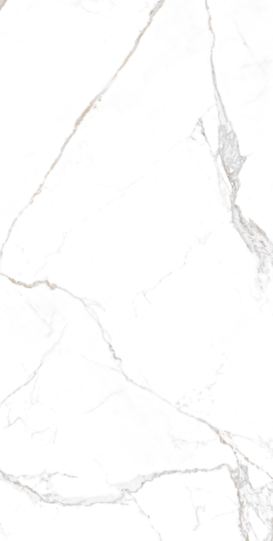 Satori Statuario Glossy 60x120 Modern Tile