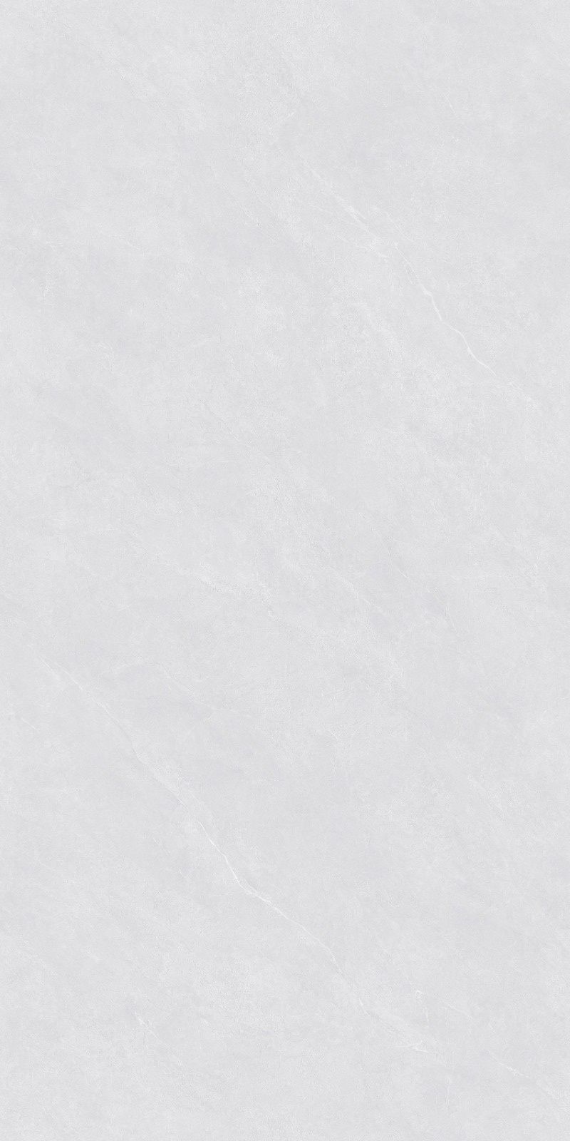 ZA-D12602 Glazed PR 1200x600x9 Vizavi