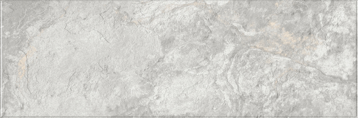 616 Image Silver 32,5х100 Eurotile Ceramica