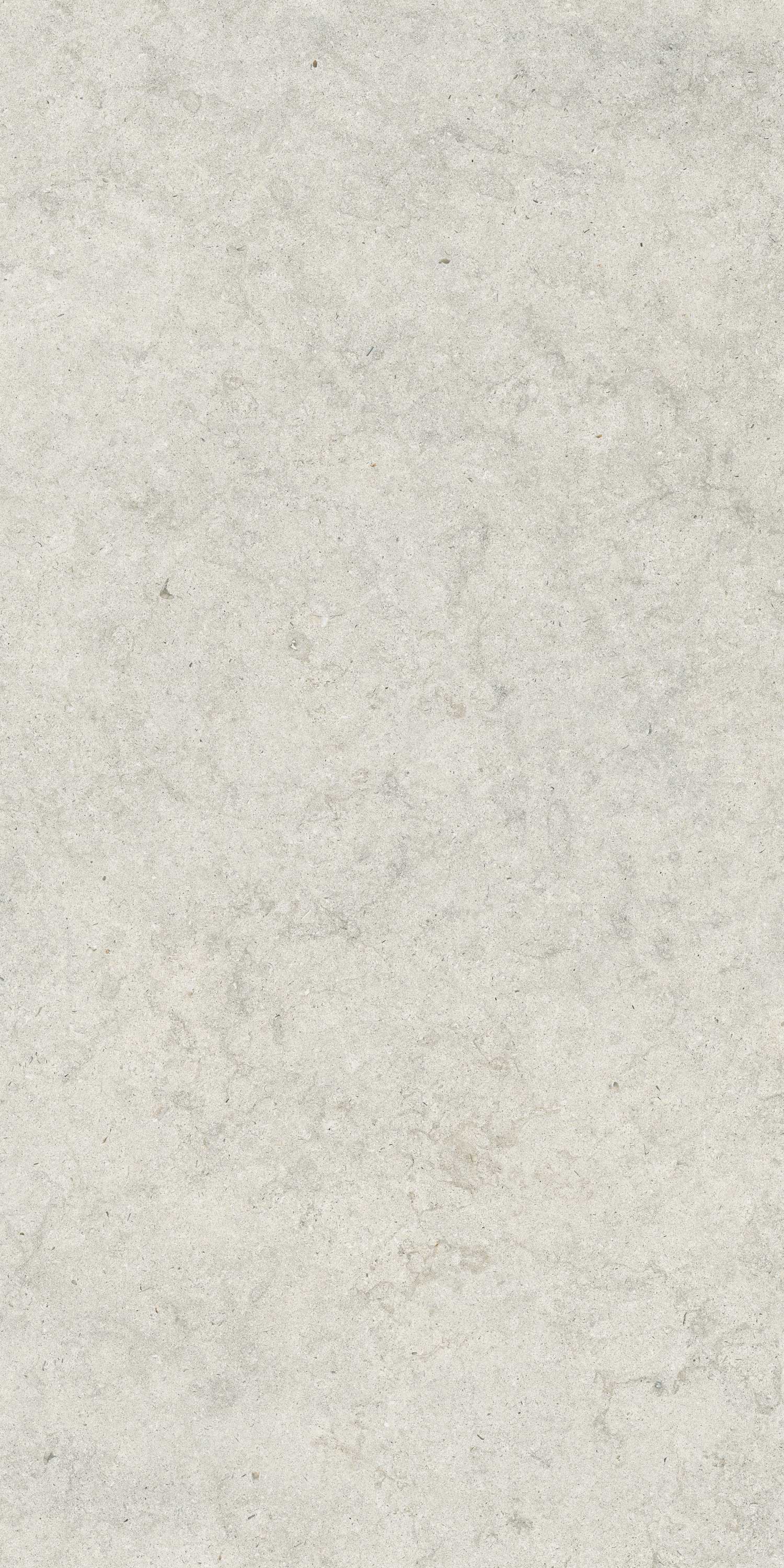 610010004073 Саленто Уайт Рет 60x120 ColiseumGres фото 3