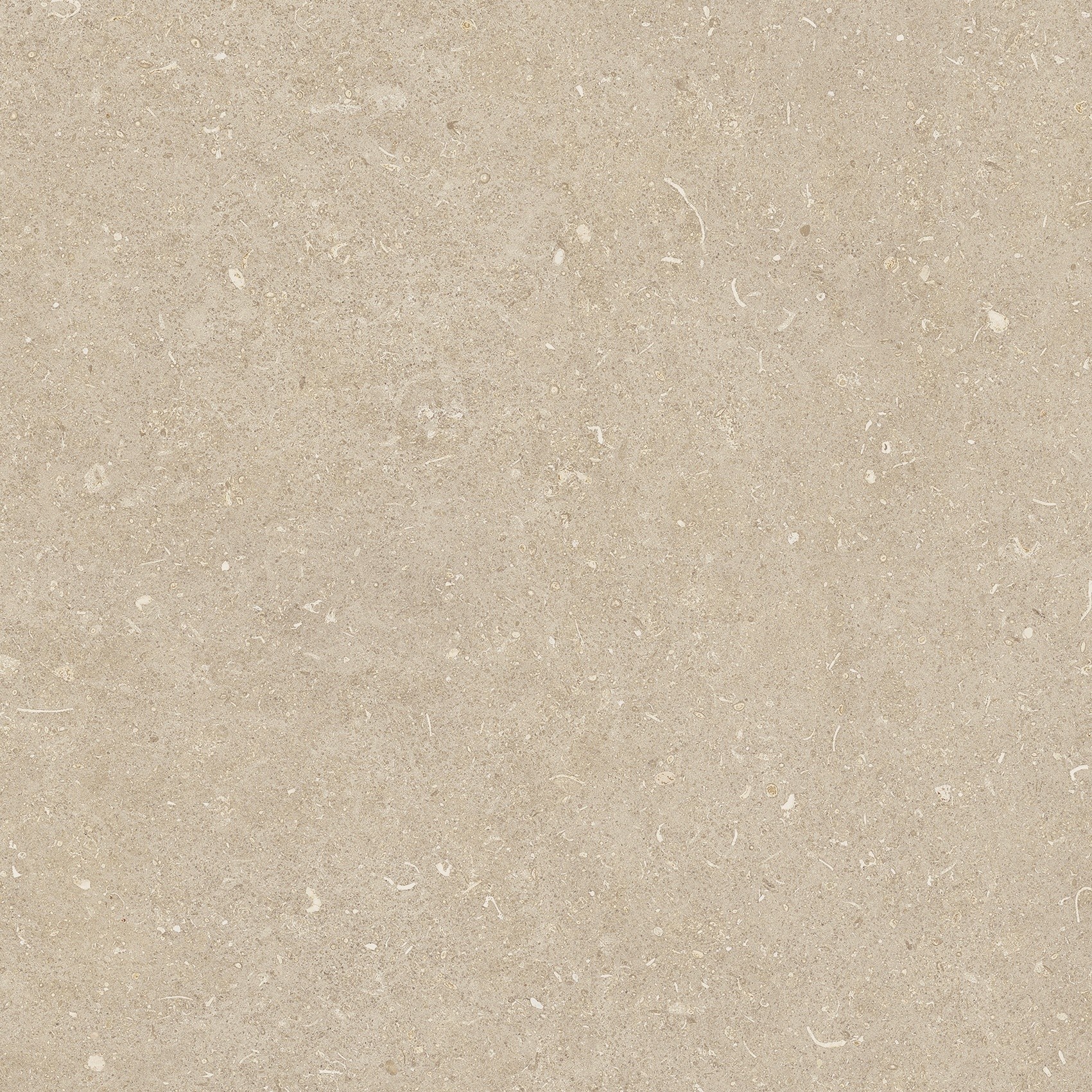 785485 Rinascenza Arena Conchiglia Matte 60x60 Casa Dolce Casa