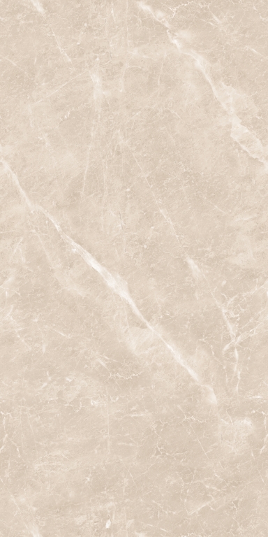 894 Gem Grey 120x60 Artcer
