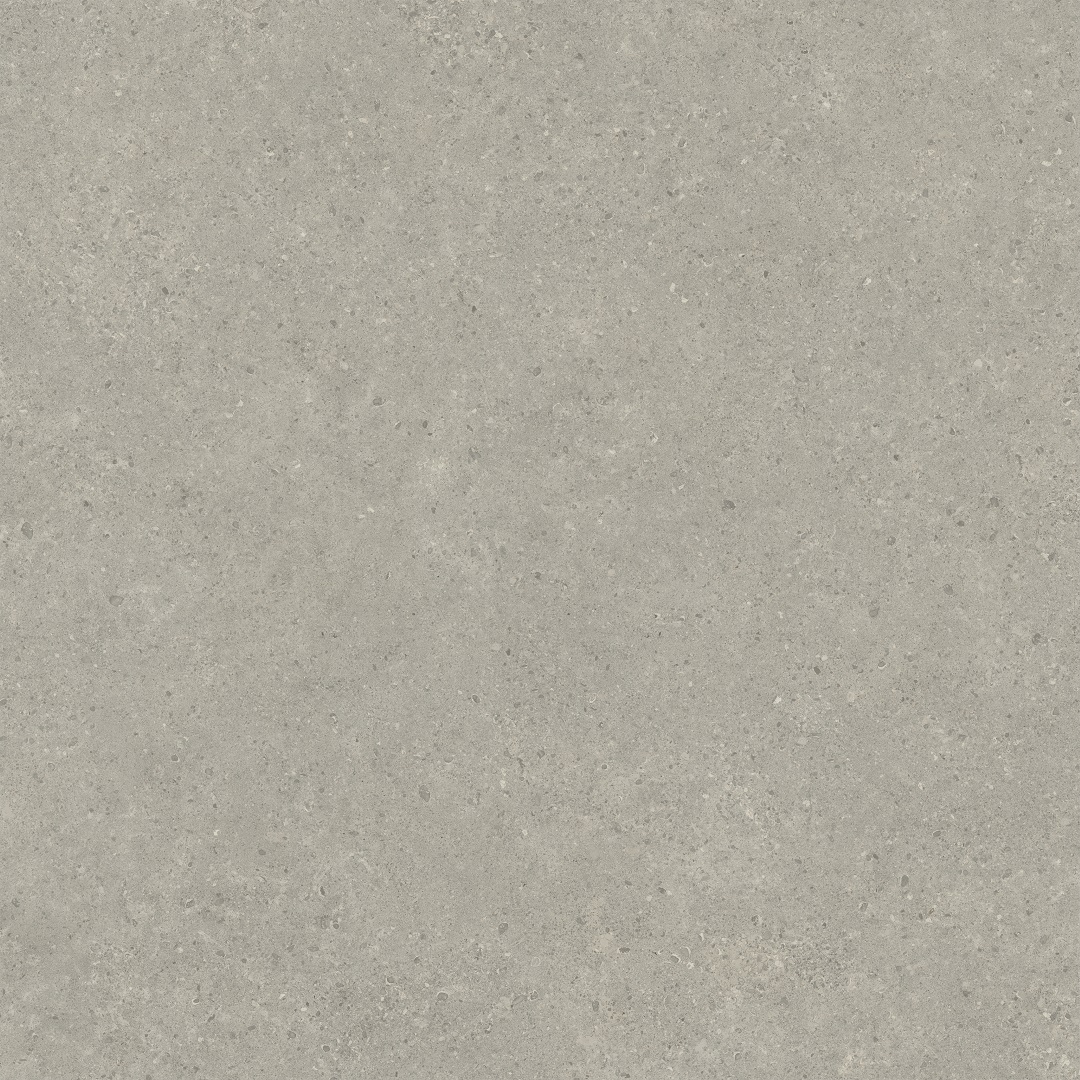 610010006216 Статус Карбон Натуральный 120x120 Italon фото 4