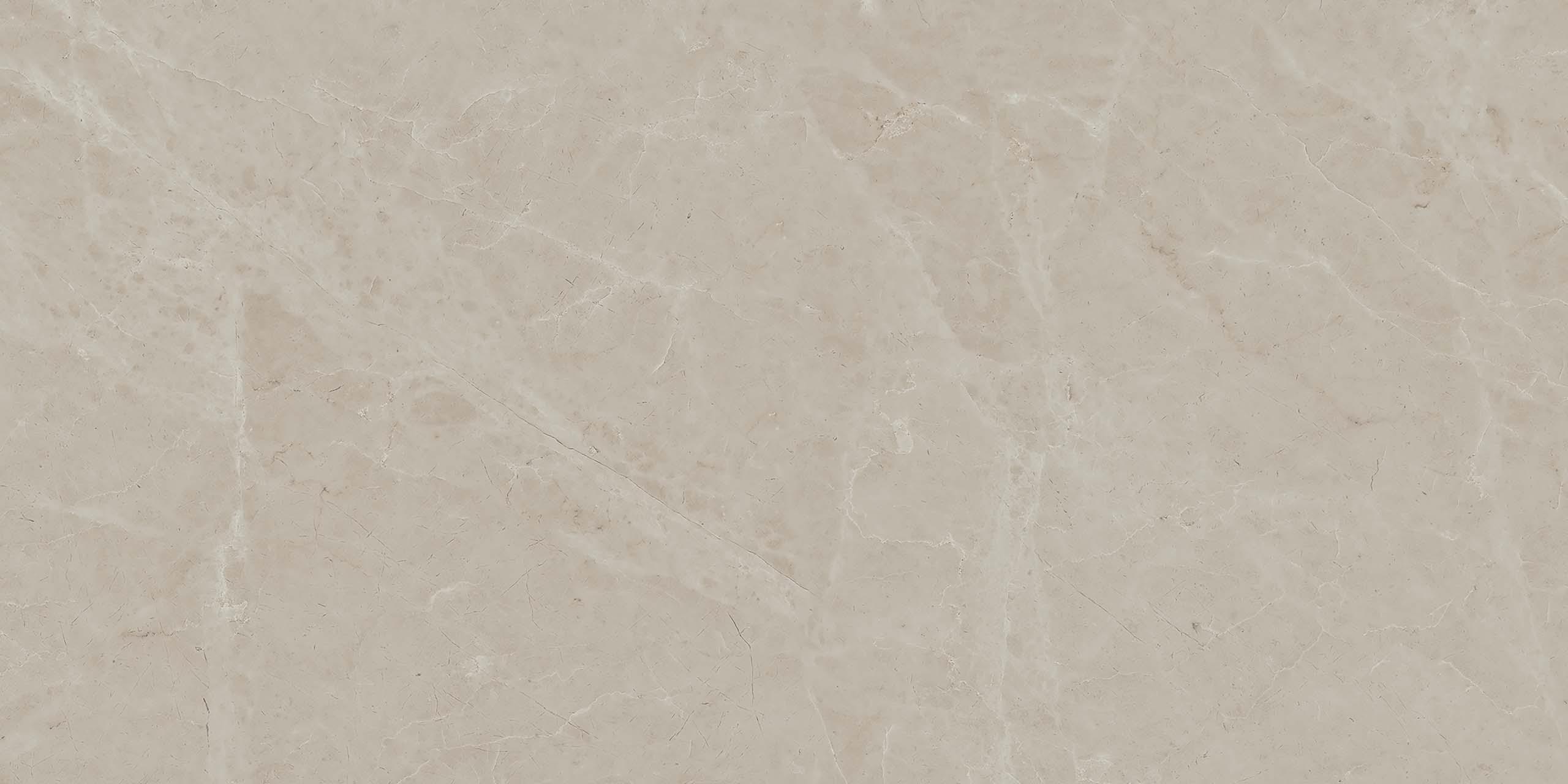 MOG202 Marble Grey полированный 60x120x9 Onlygres