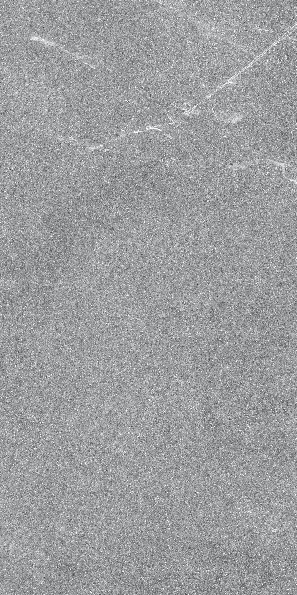 GT1206015401MR Geo Серый 60x120 Global Tile
