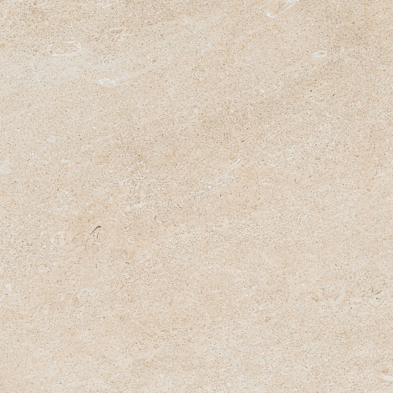 610010005835 Forte dei Marmi Rock Siberian Ivory Lastra 20mm 60x60 Atlas Concorde Russia