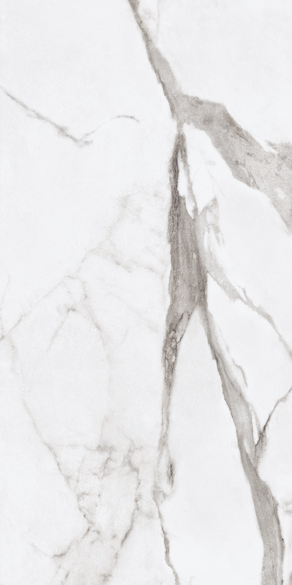 PF60004974 Epoque White Statuario Lap 60X120 Ariana