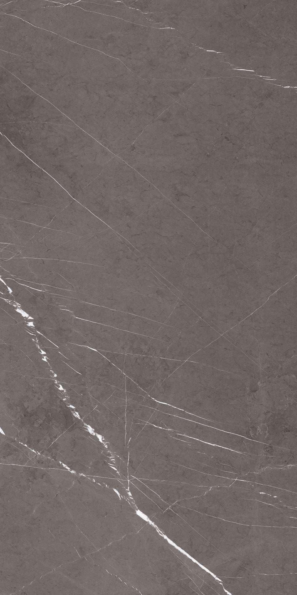 10720206 Marmoker Grafite Lucido 9mm 60x120 Casalgrande Padana