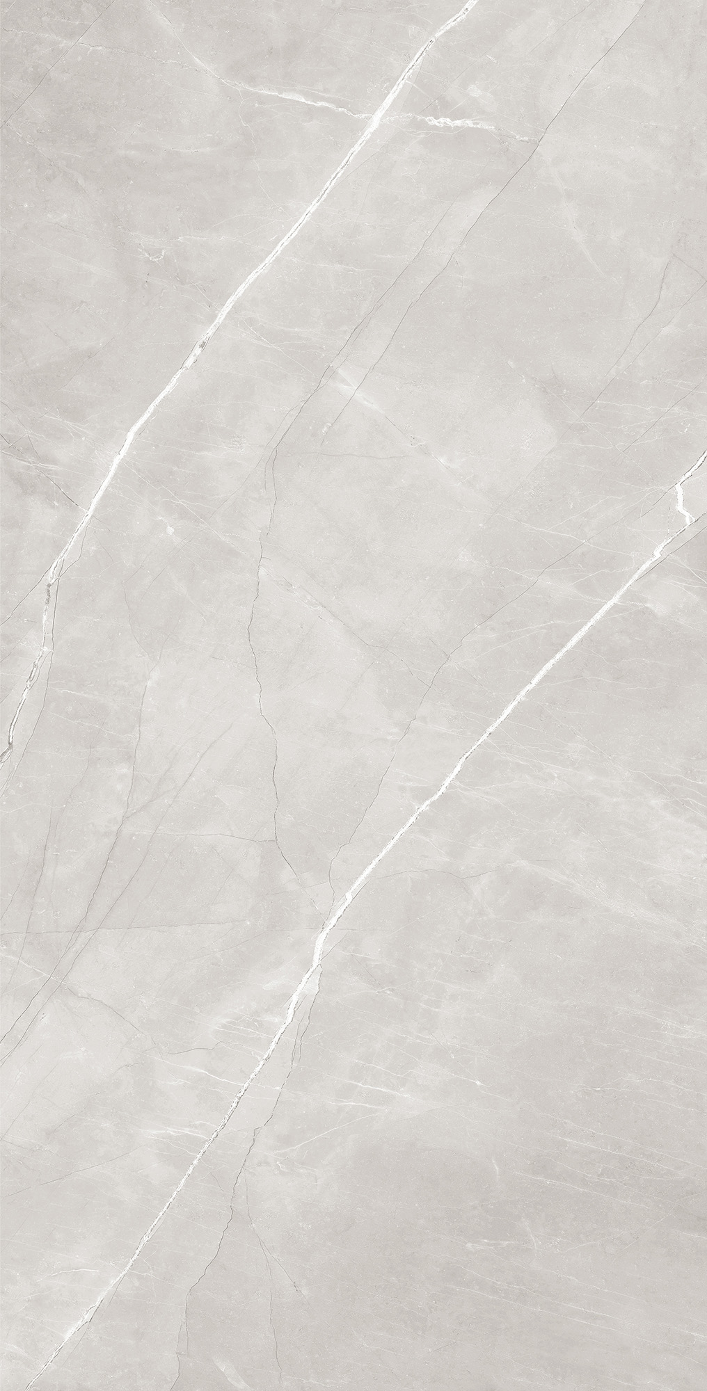 RT7013-A Armani Silver Matt Rustic 60x120 Arcadia Ceramica