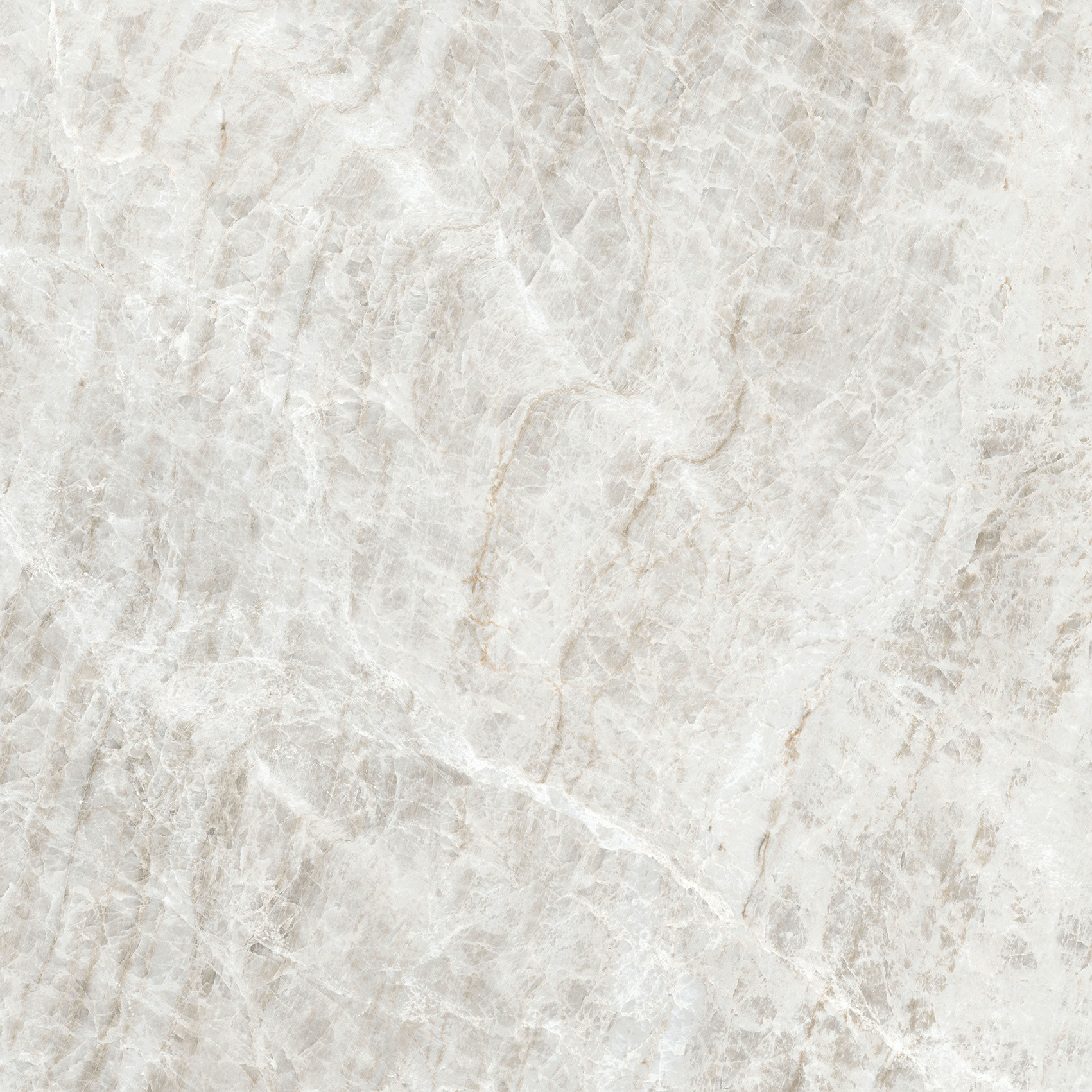 784549 Iconic Life Rice Yamuna Glossy 60x60 Cerim фото 8