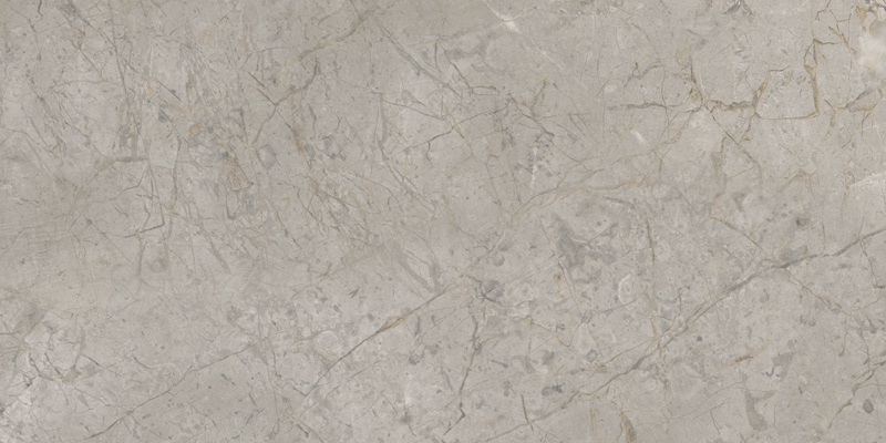 2ASK Silver Grey Silk RT 60x120 Keope