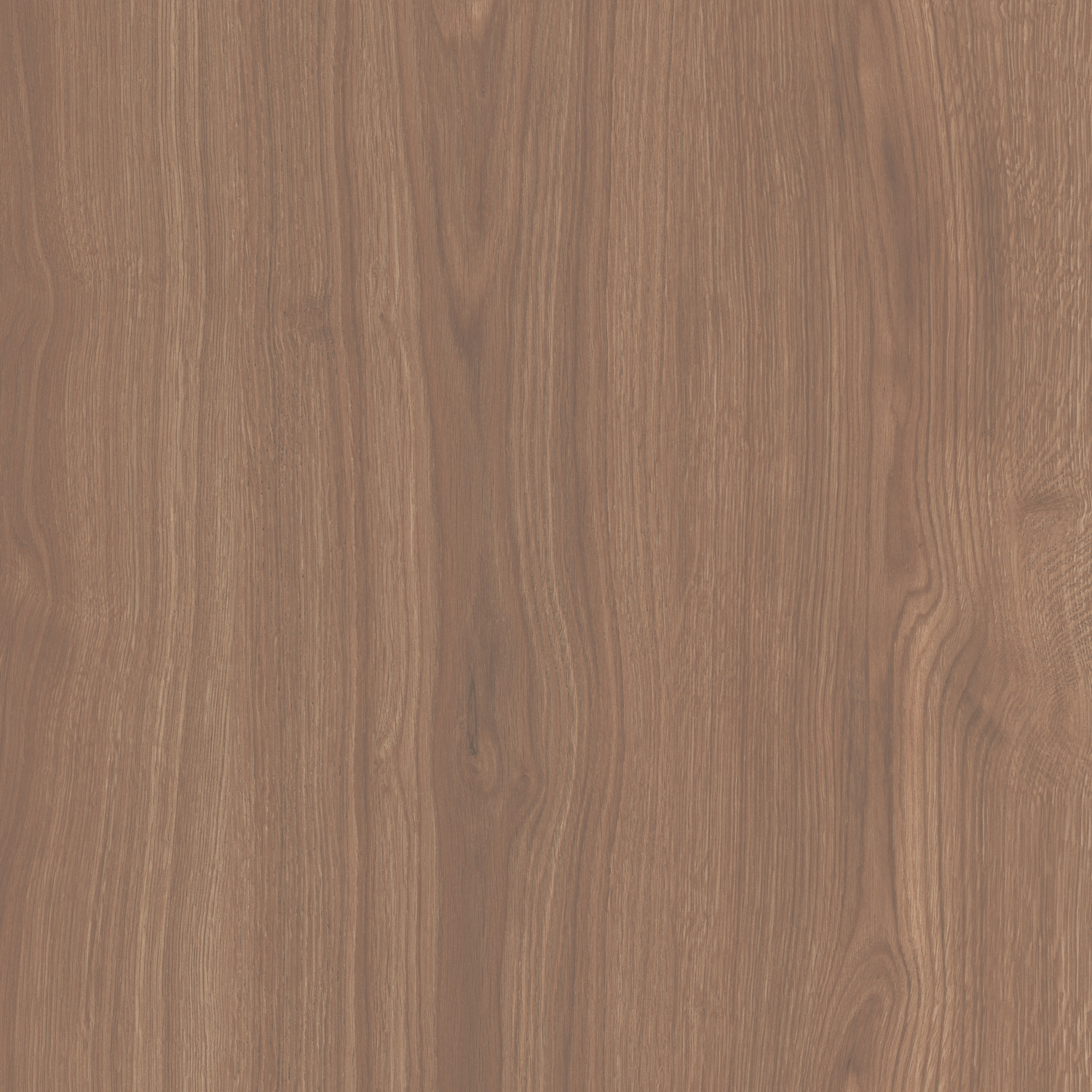 SG644020R Альберони коричневый матовый обрезной 60x60x0,9 Kerama Marazzi